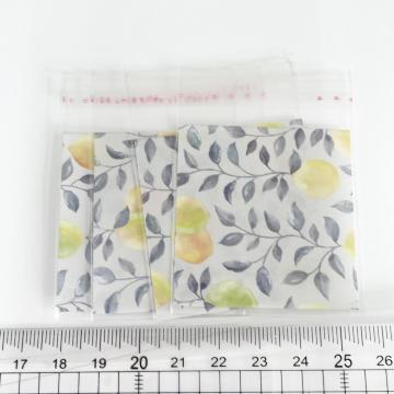 �����䎆�����OPP�܁@4���@579