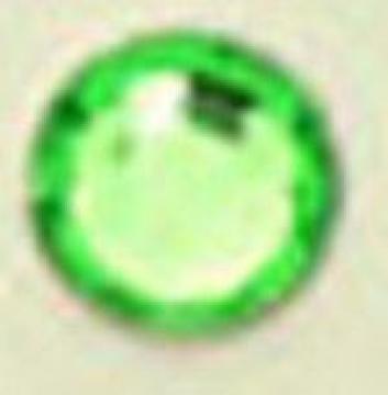 3mm fRpXg[ 2000 O[ C nhCh lC LL rW[ p[c DIY H 