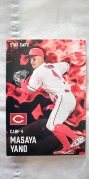 2025�v���싅�`�b�v�X��Q�e��L�������ƃX�^�[�J�[�h