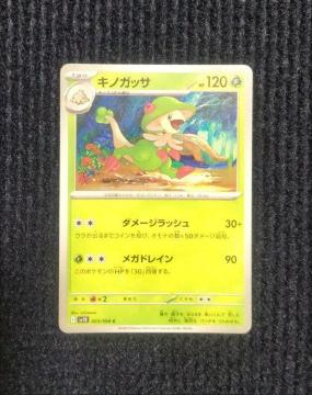 �L�m�K�b�T�@�|�P�����J�[�h�@���P�b�g�c�̉h��