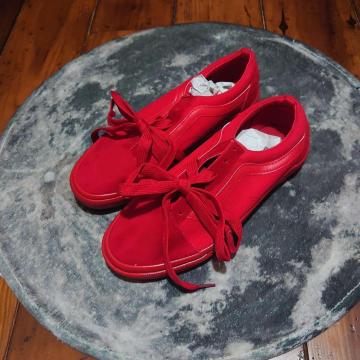 Vi 24.5cm fB[X Xj[J[ bh V[Y C [Jbg