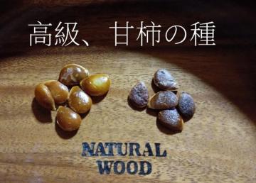 AÊ`̖؂̎PO{}[S[hԎ{Iׂei{Sł_(^o^)^