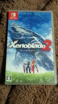 ��switch �[�m�u���C�h2 ����