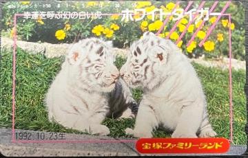 ˃t@~[h@zCg^CK[@etHJ[h50x