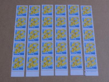 140�~�؎� 30�� ���ʐ؎�