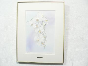 R xOu嚒v gOt ŉ ʐF ED 19/100 z 53cm x 42cm