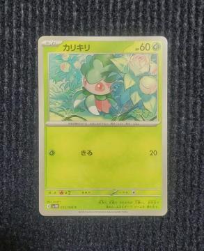 �J���L���@�|�P�����J�[�h�@���P�b�g�c�̉h��