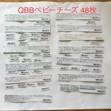vZX QBBxr[`[Y o[R[h48