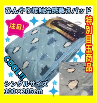 ���ʖڋʏ��i���ڐG�⊴�Ђ���~�p�b�h���V���O���T�C�Y��100�~205cm