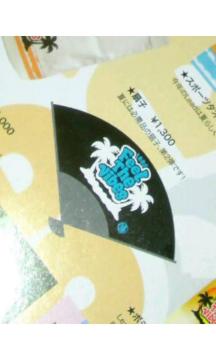 Lead Feel The Vibes扇子