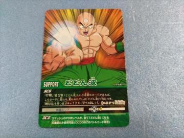 �f�[�^�J�[�h�_�X�@�h���S���{�[��Z 2�y�ǂǂ�g�z���g�p