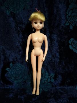 �J�X�^�����J�����f��