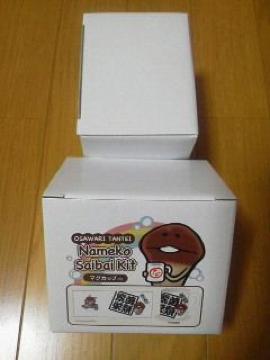 新品〓なめこ栽培キット★マグカップ♪
