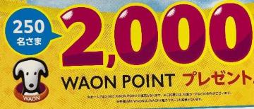 �^�C�A�b�v��WAON�|�C���g2000p/250���l5��