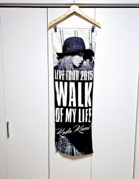 (31) cҖ  LIVE TOUR 2015 WALK OF MY LIFE ʃvg X|[c^I cg