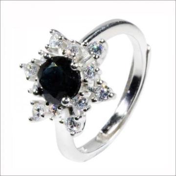 �V�R�u���b�N �T�t�@�C�A�����O�@100���V�R�@�i�`�������@�A�N�Z�T���[�@�J���[�X�g�[���@��� �@Co_4003