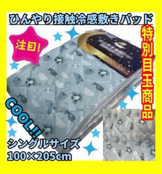 ���ʖڋʏ��i���ڐG�⊴�Ђ���~�p�b�h���V���O���T�C�Y��100�~205cm