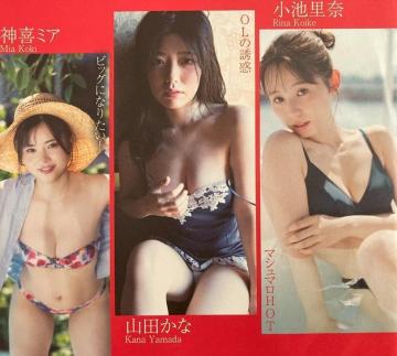 rށARcȁA_~AA݂ۂA̖JcucłB