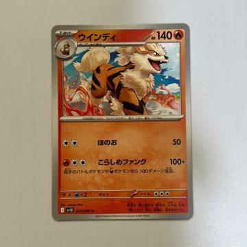 �|�P�����J�[�h�@�E�C���f�B