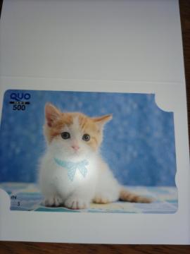 QUOカード*猫*500
