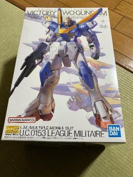 mg v2�K���_���@���g��