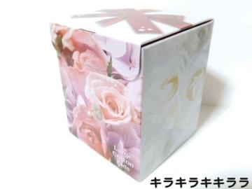 yDHCzsNewtܰ޻޲ޯ傫ޥ*20[J]