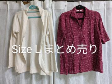 []SizeL/wl/t/܂Ƃߔ//
