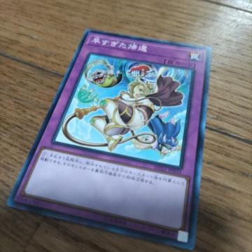 �V�Y�� ���������A��