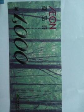 CI1000iVi