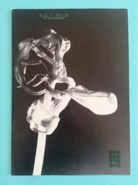 ���c���Ƃ΂��܂��u���l�̌��߂�7�̃��[���v�����p���t���b�g�I