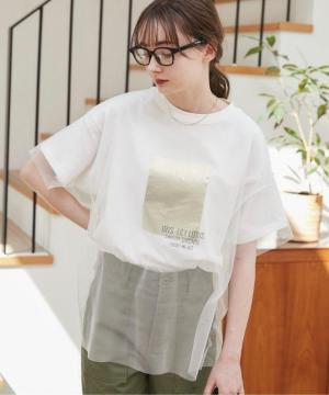 ANGIE�����J�b�g�\�[