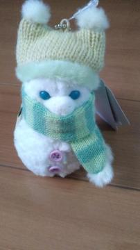 ][gV[NbgIuXm[EB[fCIʂ݃`[