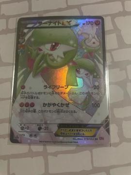 �|�P����� �R���N�V���� �T�[�i�C�gEX