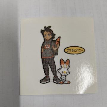 |PpV[SE&qoj[lA[|PbgX^[