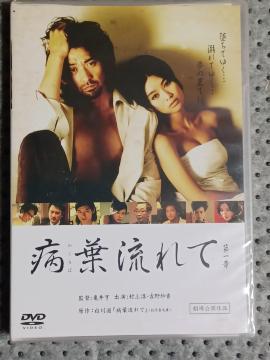 ViDVD at