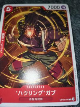 �����s�[�X�J�[�h���n�E�����O�K�u���V���Ȃ�c��