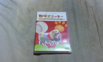 yDVDz(LJ[v){[@싅~bL[