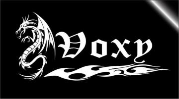 VOXYEHNV[ރhSgCoXebJ[