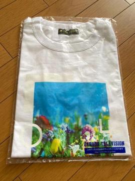 24ԃer@`eBVc吐 STCYViJ