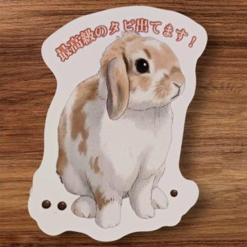 �y�ϐ��z�����������邠��I�u�ō����̃^�s�I�J�v�����@�Ȃ������X�e�b�J�[�i���b�v�C���[/�ʔ���/�l�^/�X�}�z/PC�j