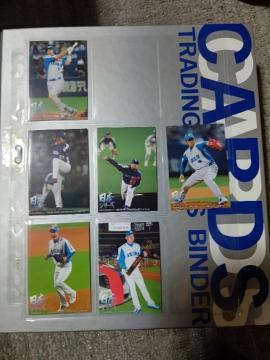 ް '05 {ذ N #1 #4~8   ac/ R/ / / ΈM