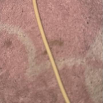 �[�d��