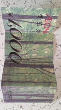 AEON �C�I�����i�� 1,000�~(�܂ꂠ��)