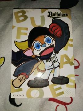 ��2025�@�J���r�[�@��A�e!!�@�I���b�N�X�E�o�t�@���[�Y�@�}�X�R�b�g�L�����N�^�[�@�o�t�@���[�u���@C-11��