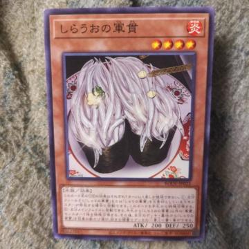 VY@炤̌R