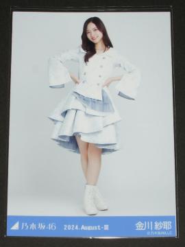 �T�؍�46�@����і�@���ʐ^�P���@�X�y�V�����ߑ�43