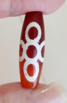 �`�x�b�g �M�d�܊�V��