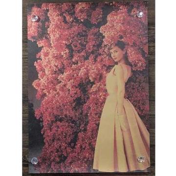 Viy|X^[zAudrey Hepburn^I[h[Ewvo[@u[QrA