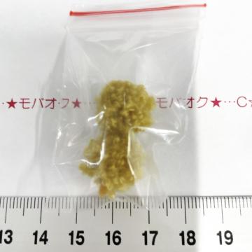 25*���ߺ�����������́@20