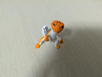 �g�J�Q�t�B�M���A